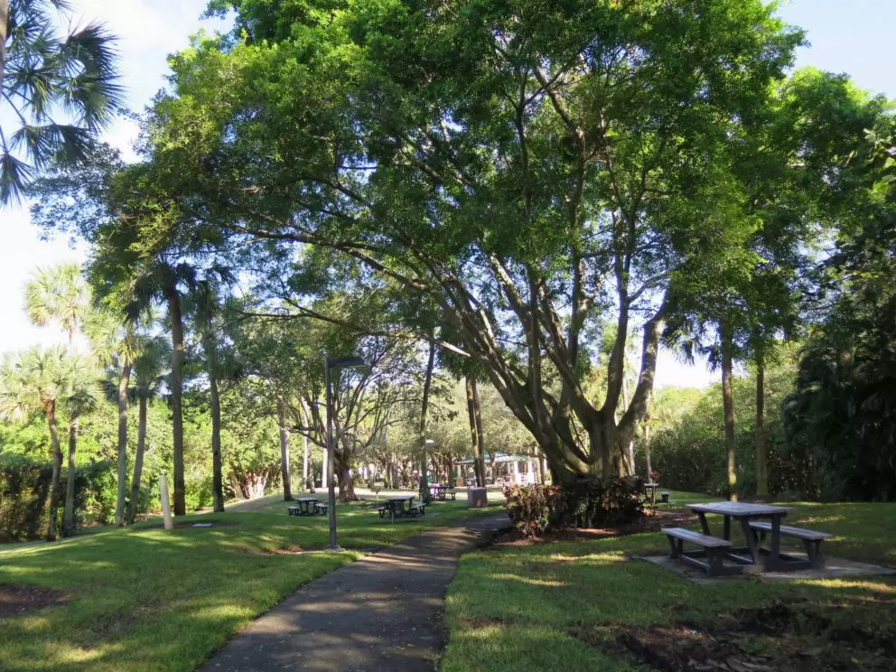 Picnic tables in the shade, on the path that leads to James A. Rutherford Park.