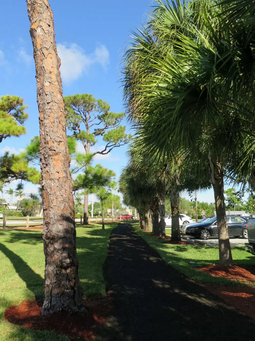 The path as it takes you near NE 5th Ave.