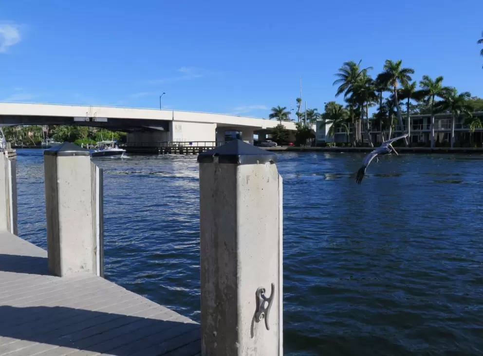 View of the bridge.