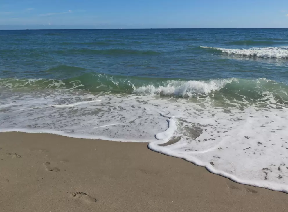 Waves at the shore.