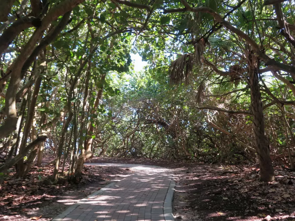 The shaded path.