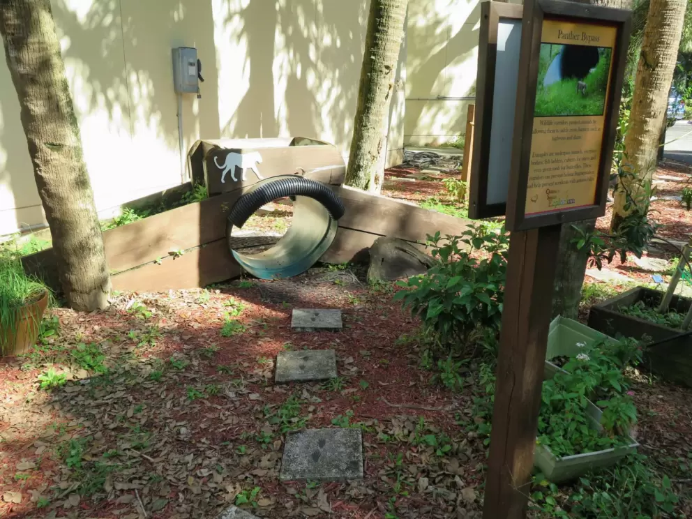 Panther bypass, behind the science center.