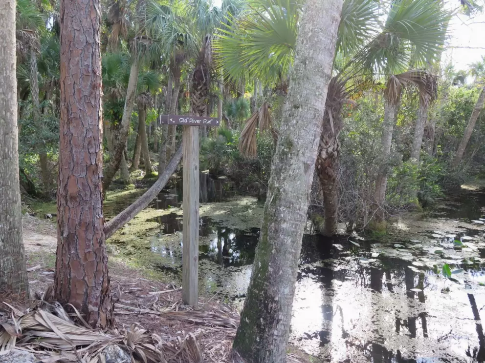 Old River Run sign and swamp.