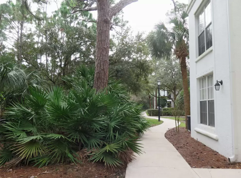 The winding path in The Sophia apartments, between the buildings and the lake.