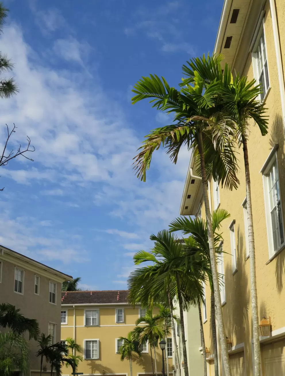 Osceola Woods townhouses are colorful and cute.