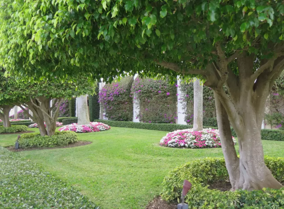 Flower beds around trees at the Biltmore, at Bradley Place, the street that runs parallel to North Lake Trail.
