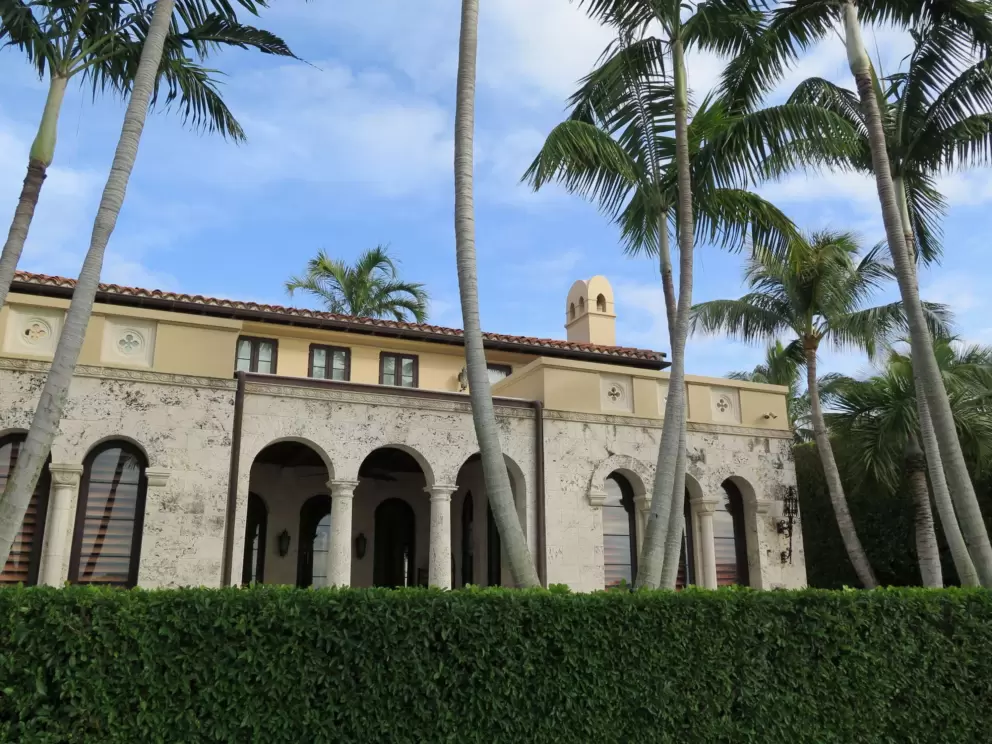 Pretty house and thin palms.