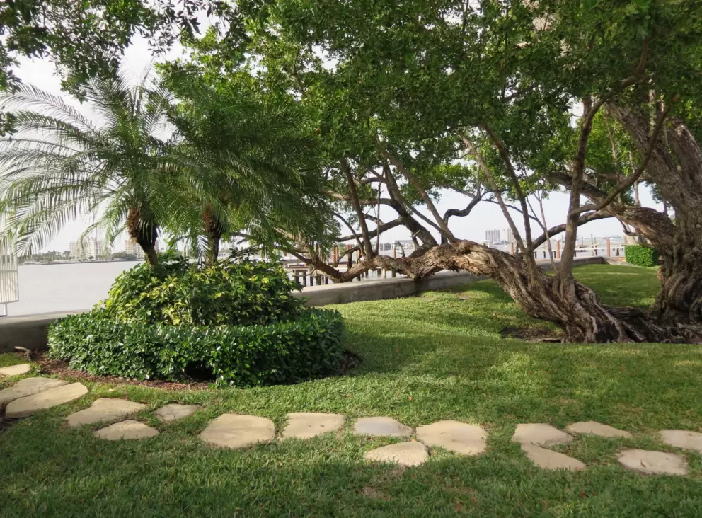 Stepping stones and water views.