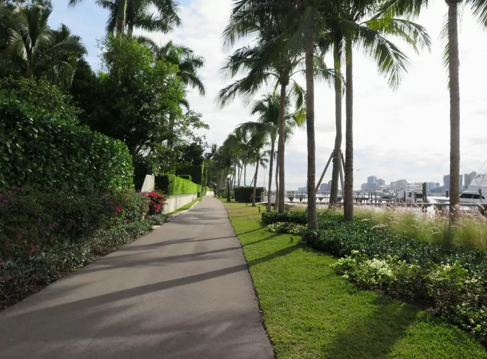 Sweet views from the path.