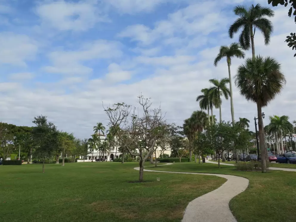 Winding path and palms along Royal Poinciana Way. 