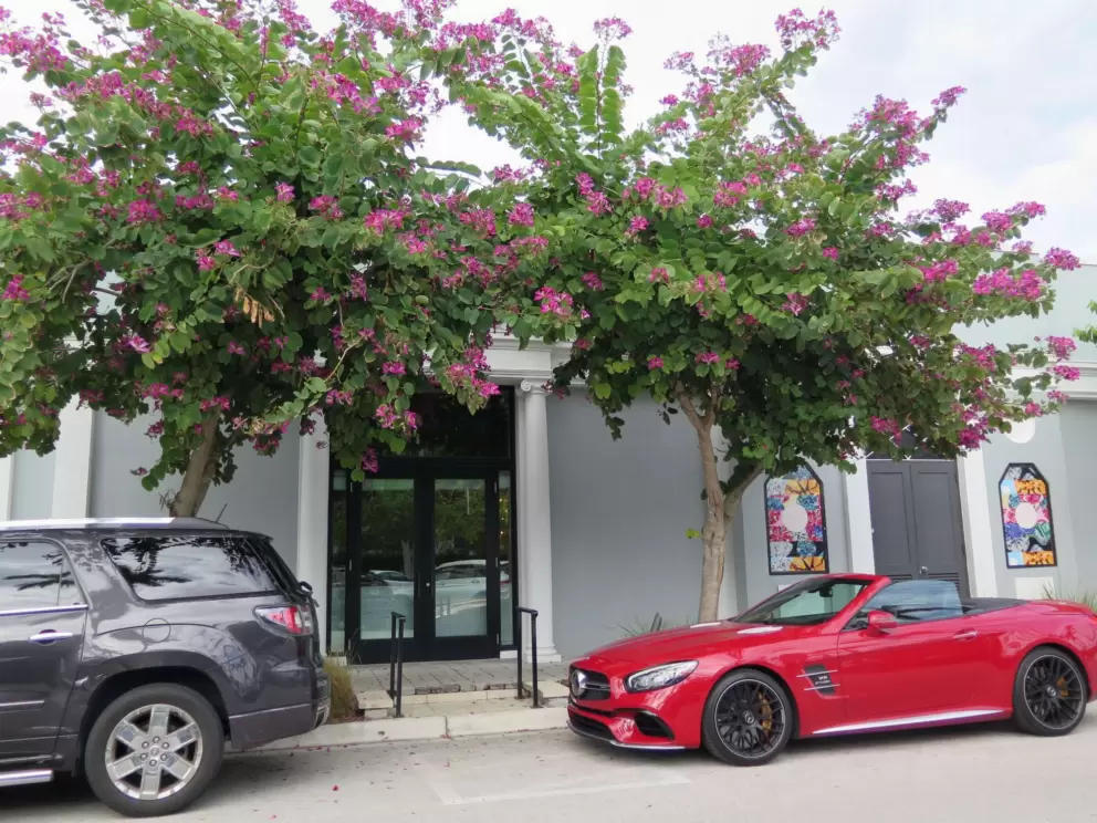 Fancy red car, dark pink flowering trees, and colorful store display.