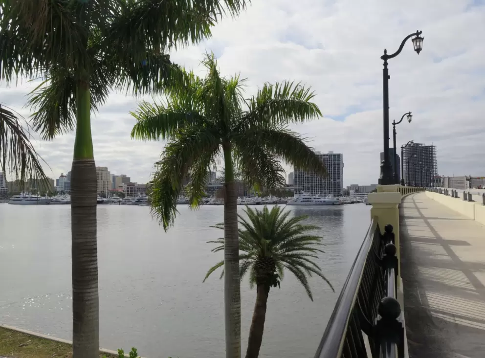 Looking down at palms and water, from Flagler Memorial Bridge.