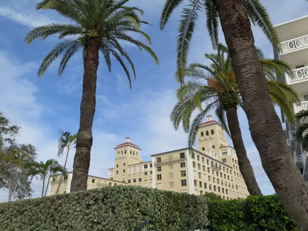 Biltmore condo and palms.