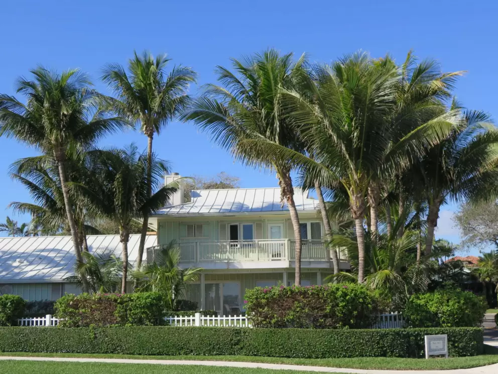 Cluster of palms and a Caribbean-style mansion along the walk.