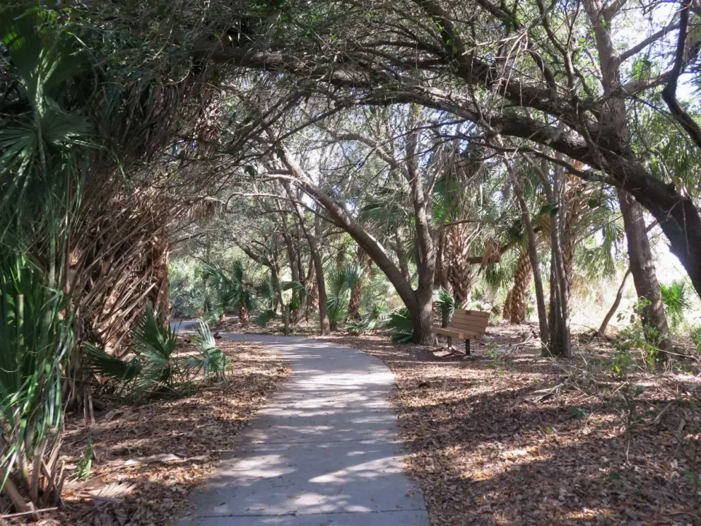 Very shady spot under arching trees.
