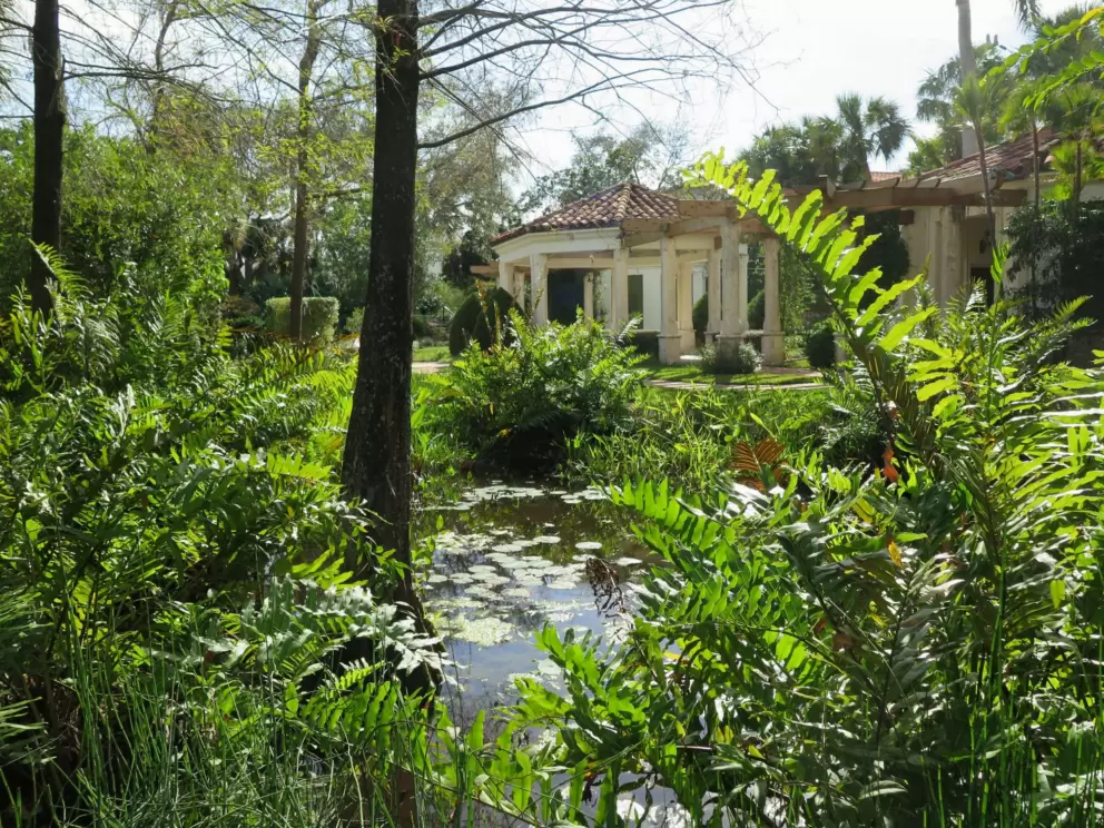 Pond in Pan's Garden.