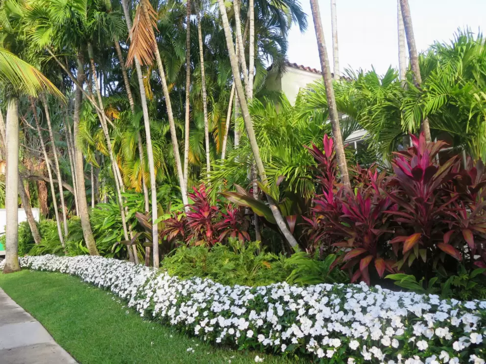Flowers galore at the Brazilian Court Hotel on Australian Ave.