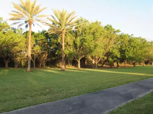 The path and a wide lawn beside it.