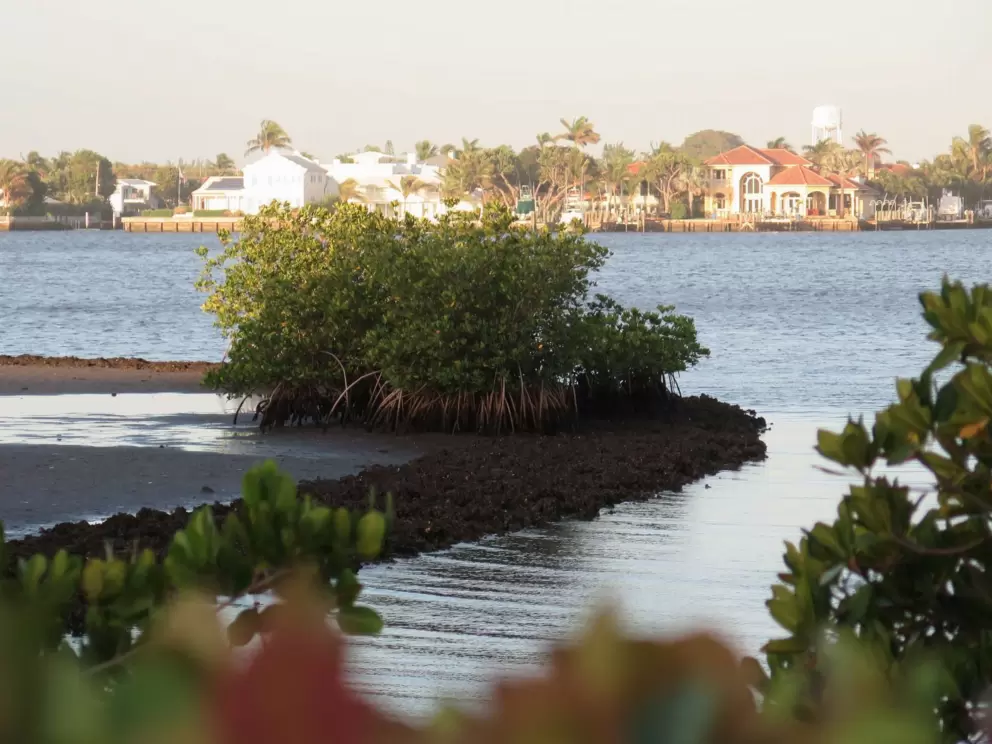 Views of the intracoastal, from the path.