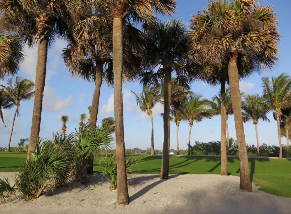 Golf course views.