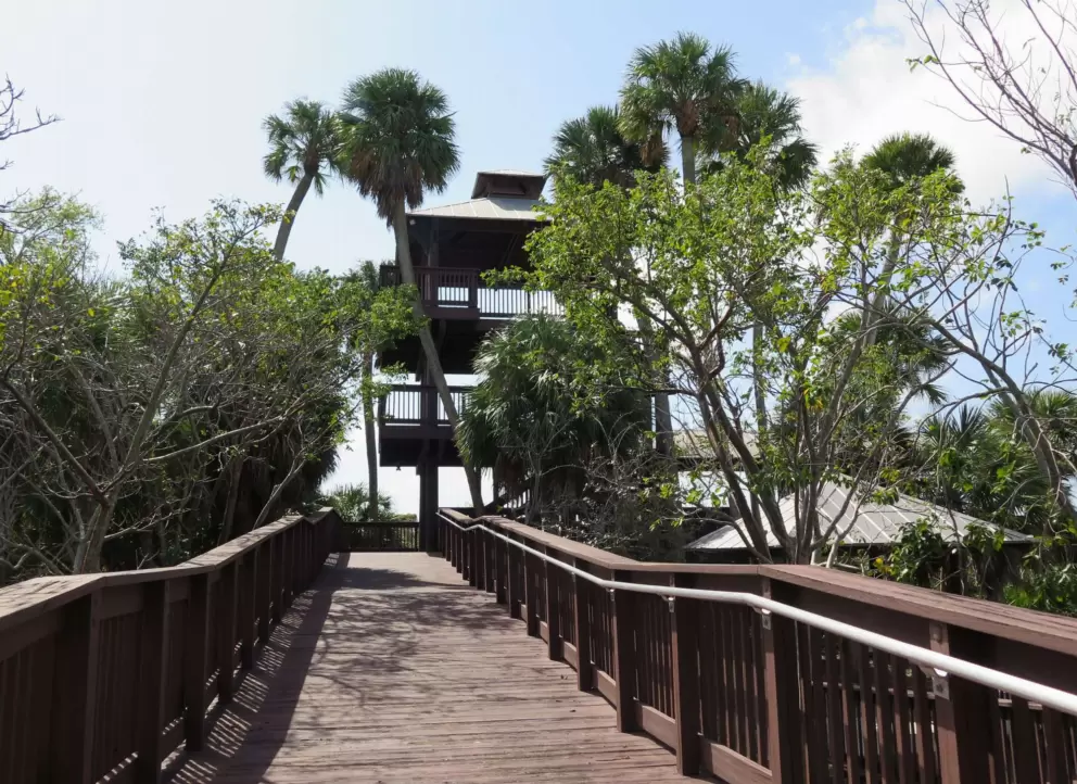 Walking along the wooden boardwalk to the second tower.