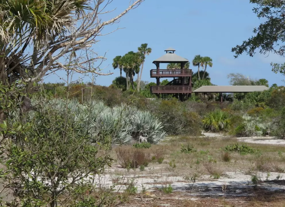 The tower in the distance, as seen from the path.
