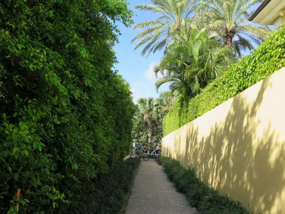 Narrow path by a yellow wall, on Woods Rd, leading from the Banyan Tree Walk to the N. Lake Trail on the intracoastal waterway.