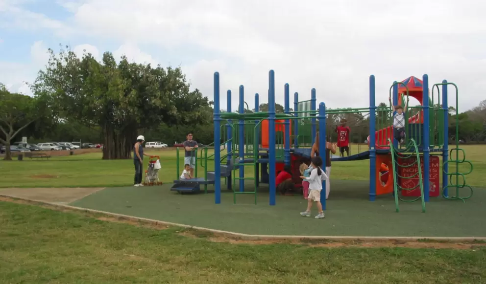The playground, with a gorgeous tree behind.
