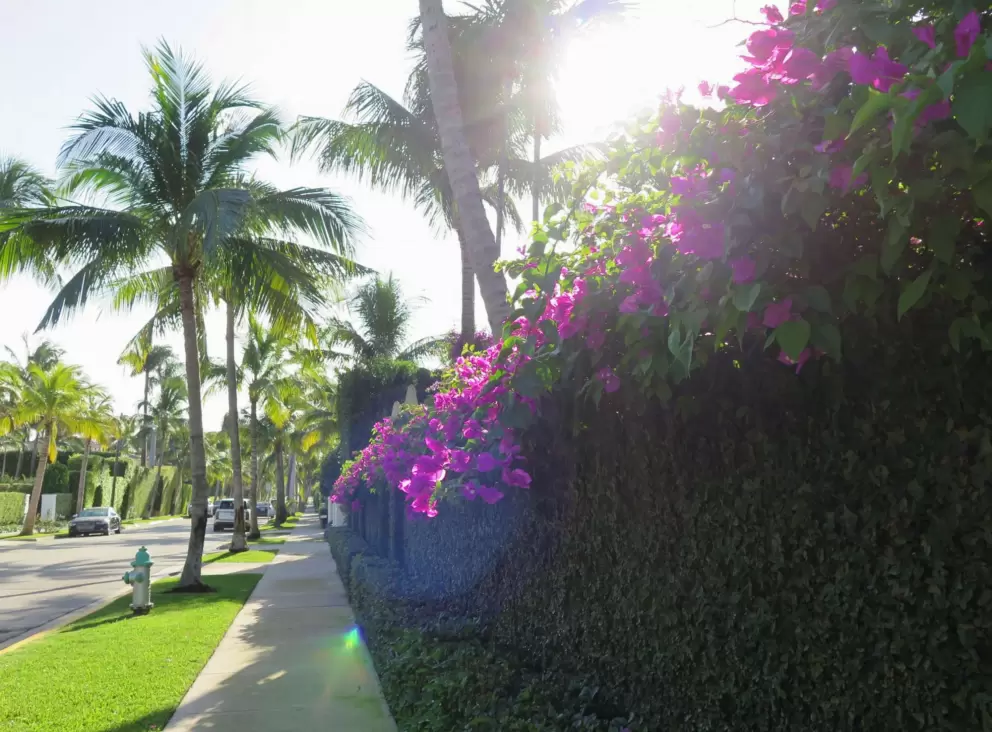 Seabreeze Ave and side streets, Palm Beach