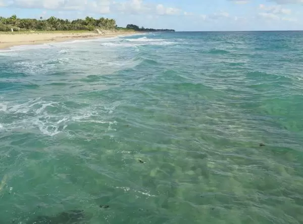 The clear water at the beach, as seen from the pier.