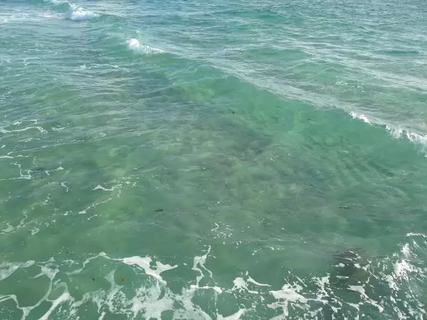 The water beckons you to swim! It's lovely to admire it from the pier.