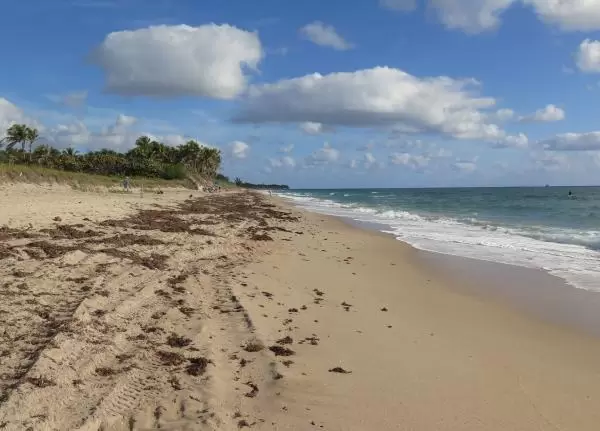 The beach north of the pier.