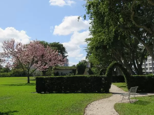 Redbud tree and arch.