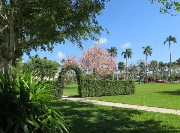 A sunny day at the park, enjoying the arched hedge and redbud tree.