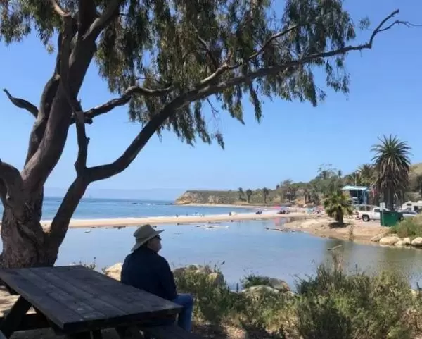 Man sitting in the shade looking out over the lagoon. Photo by Suemae Lin Willhite.