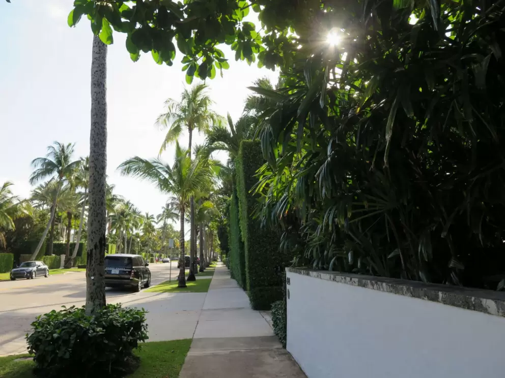 Gorgeous Brazilian Ave and its hedges.