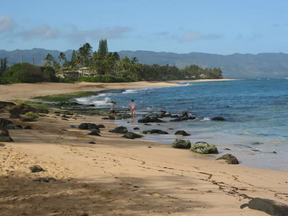Early morning at Turtle Beach- the turtles haven't arrived yet.