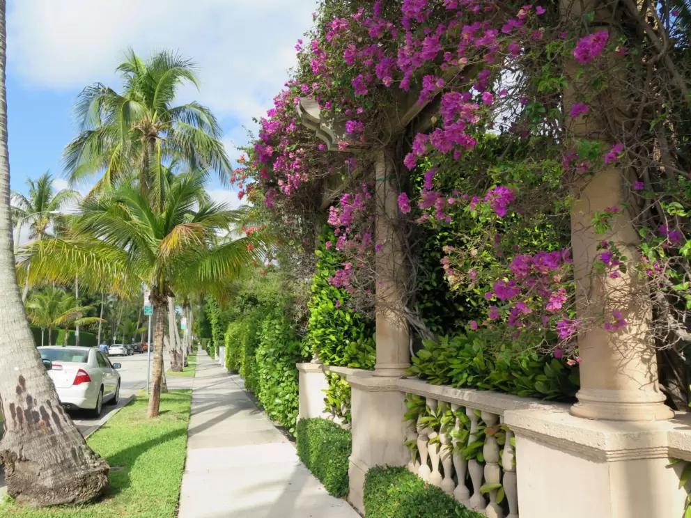 Chilean Ave has a park with bougainvillea and a fountain, on the corner of County Rd.