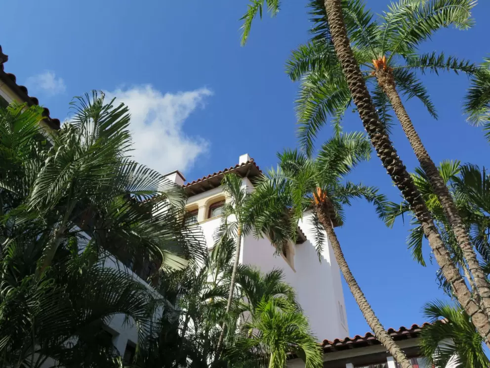 Looking up at Spanish roofs and palm trees.