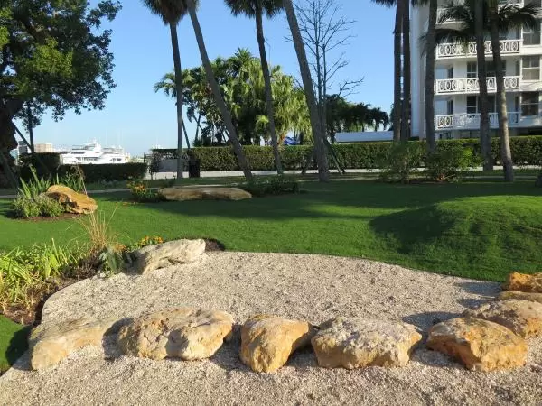 Stepping stone rocks.