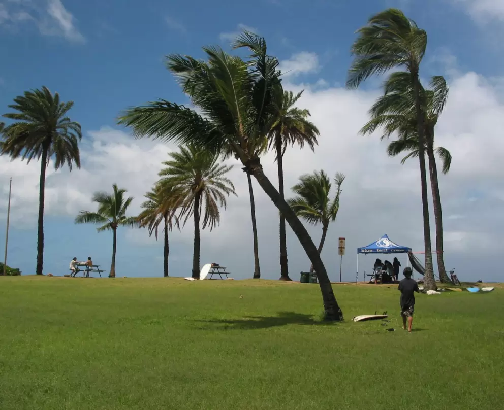 The huge lawn that leads up to the beach- sometimes there are surf contest tents set up here. 