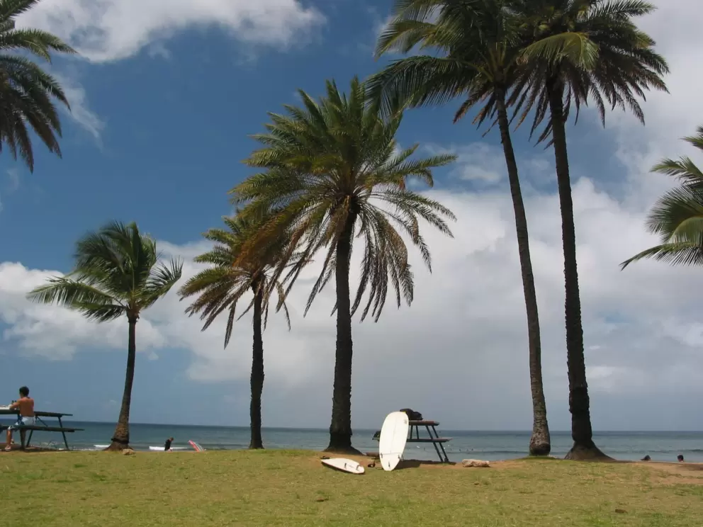 A surfboard awaits its moment to glide.