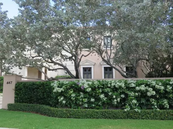 Silvery trees and white flowers.