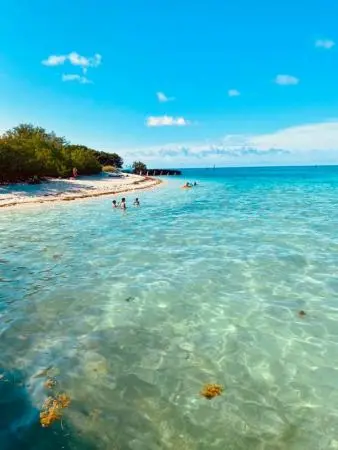 Shady beach and beautiful water.