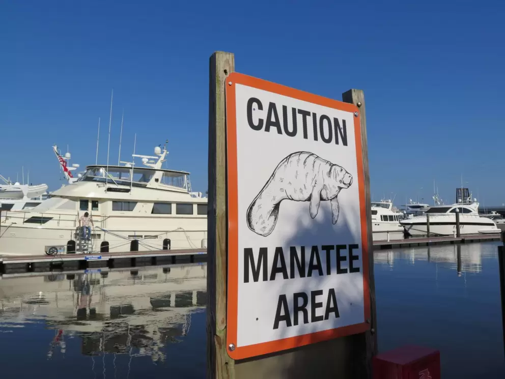Caution: manatee area.