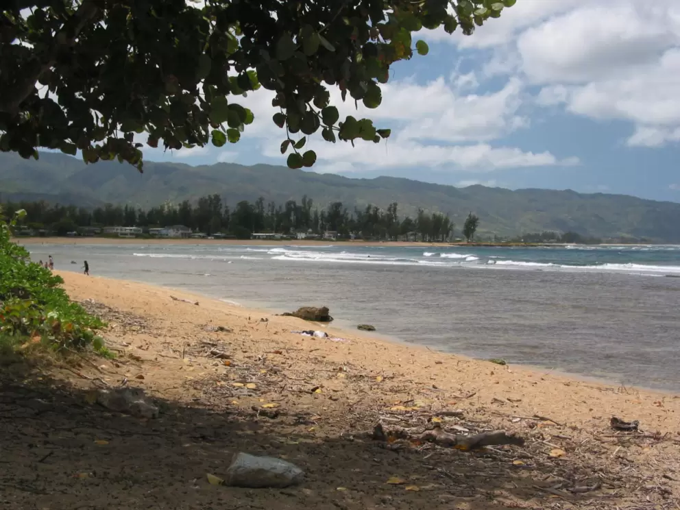 A shady spot to sit. The sand is not so nice though.