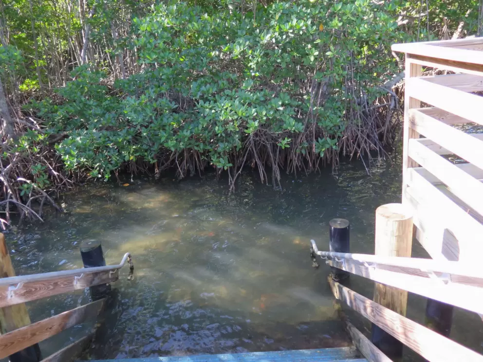 Stairs lead down to the water.