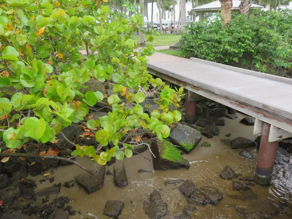 The concrete rocks at the shore, and boardwalk entrance.