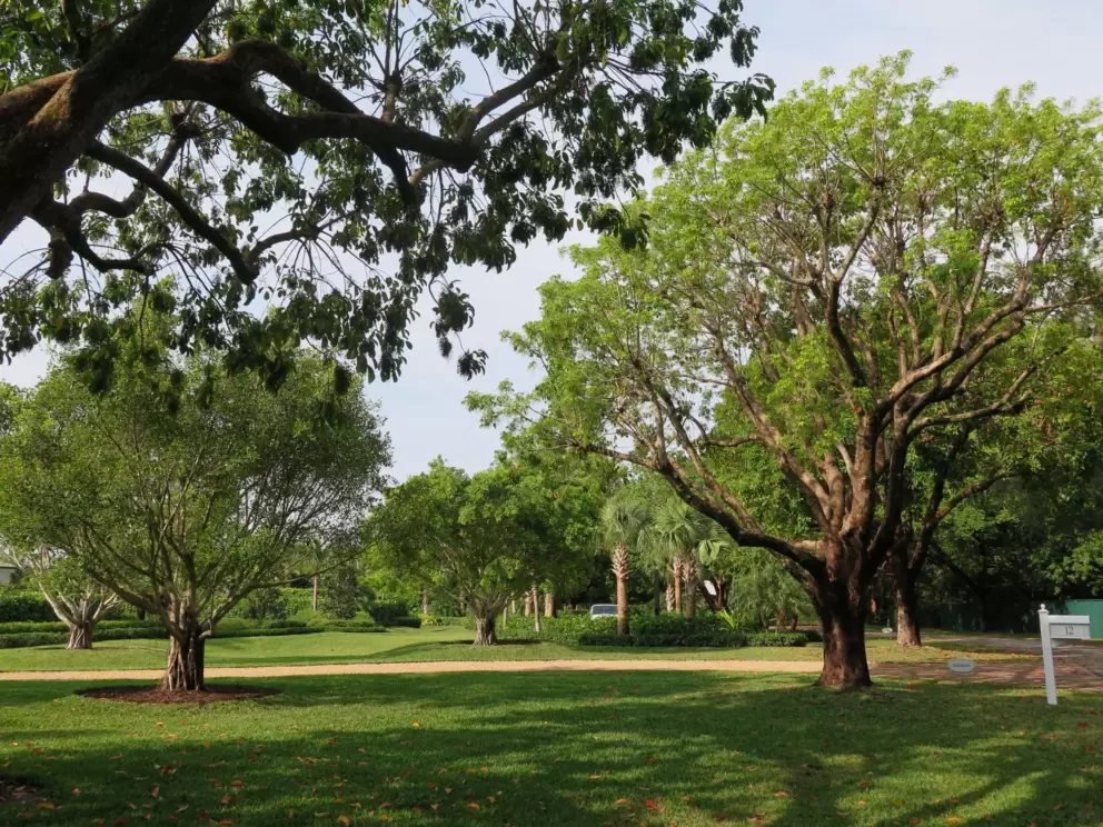 Bucolic setting.