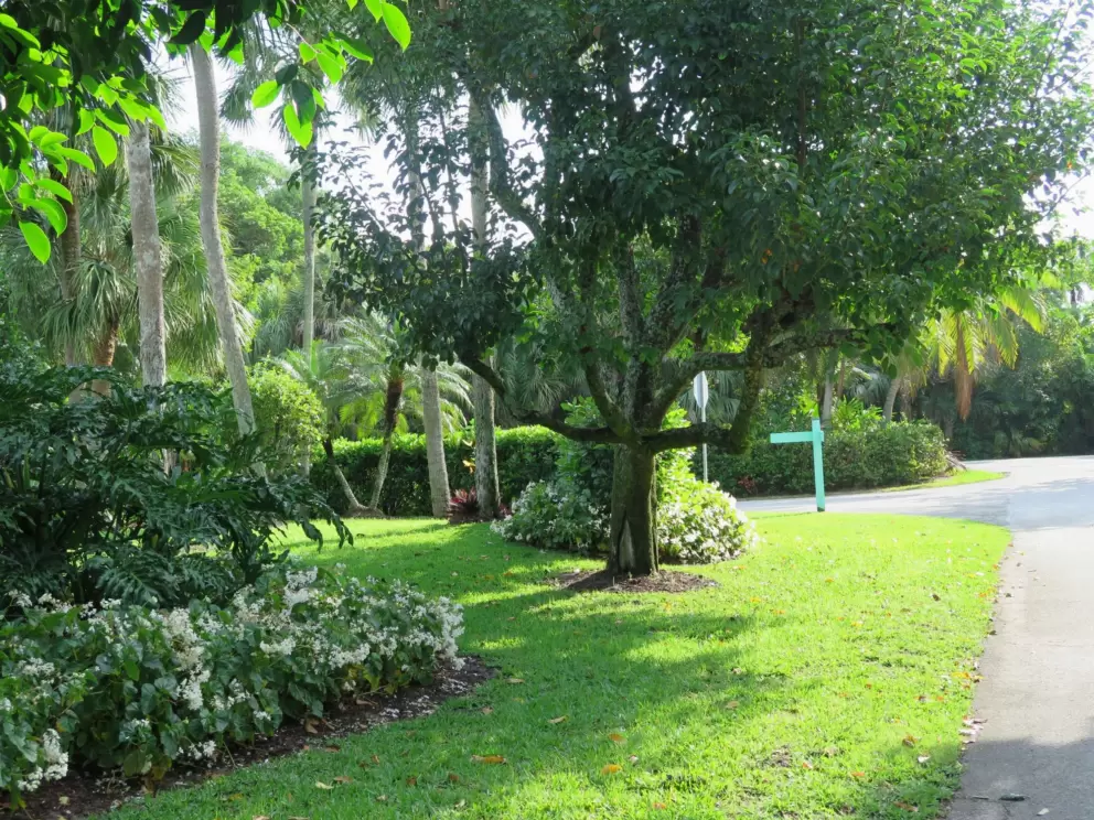 Lush landscaping.